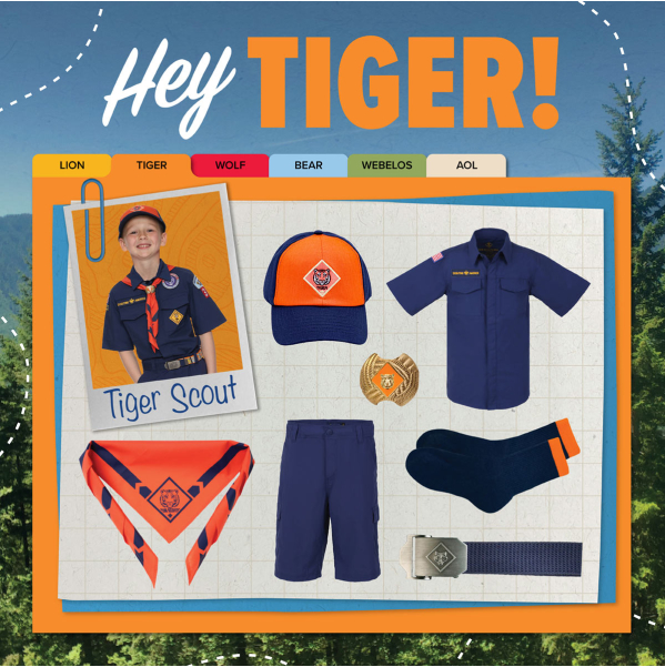 tiger uniform image